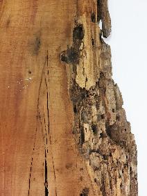 Reclaimed Lumber