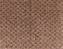 Glen Eden Wool Carpet